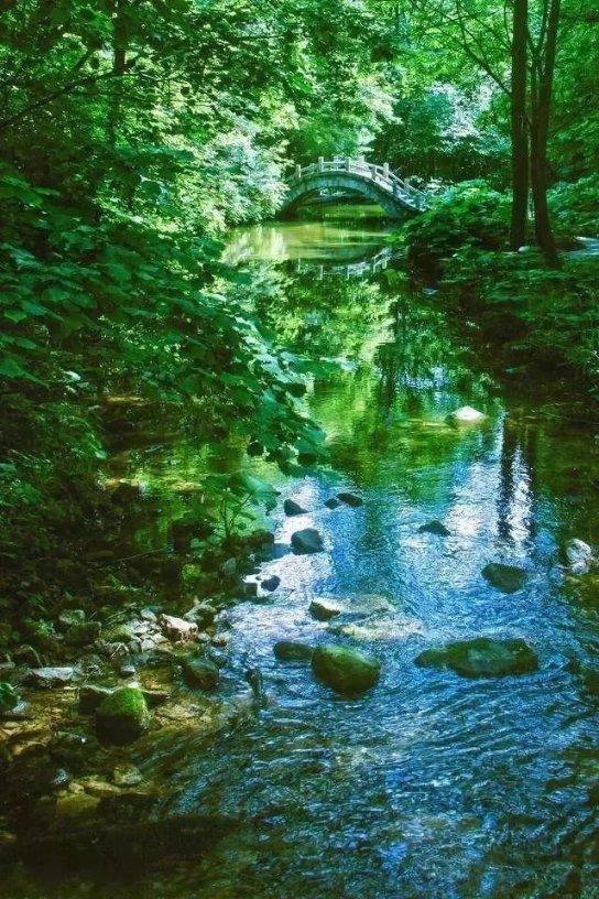 风色幻想XX