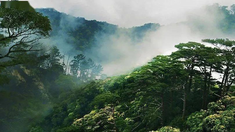 文旅大戏“趣”体验 厦门将为游客献上“暖心春”